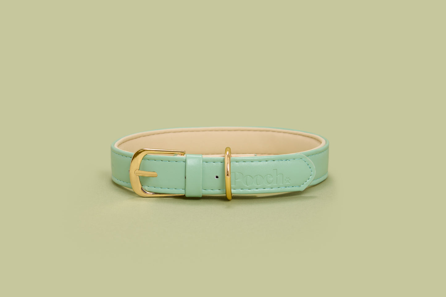 Pooch Vegan Leather Collar - Mint