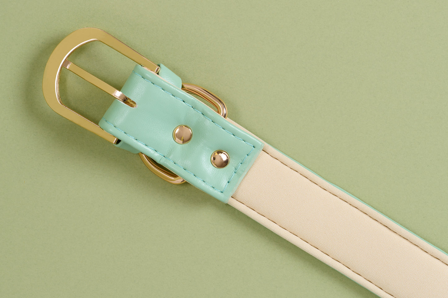 Pooch Vegan Leather Collar - Mint