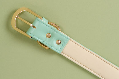 Pooch Vegan Leather Collar - Mint