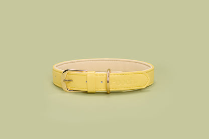 Pooch Vegan Leather Collar - Limone